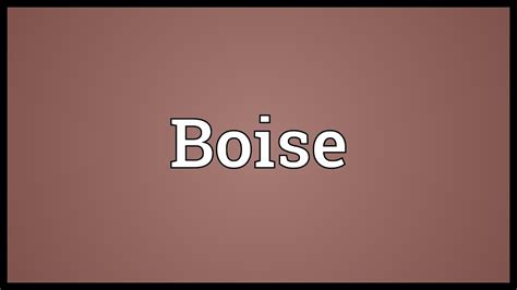 boise meaning in french.